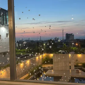 오르디 리뷰 사진