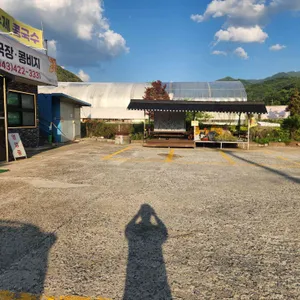 소백산별미식당 리뷰 사진