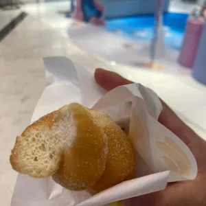 파파도나스 사진
