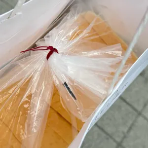 화이트리에 사진