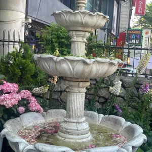 콜린 리뷰 사진