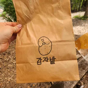 감자밭 사진