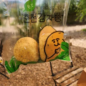 감자밭 사진