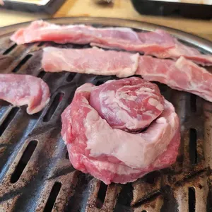 1PIG 사진