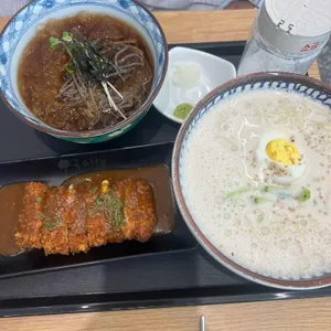 국수나무 사진
