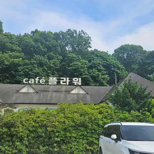 플라워 리뷰 사진