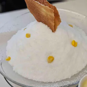 콘드 사진