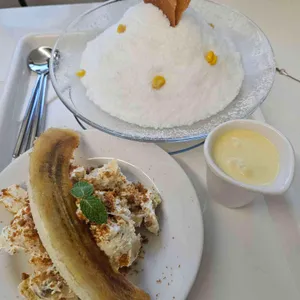 콘드 사진