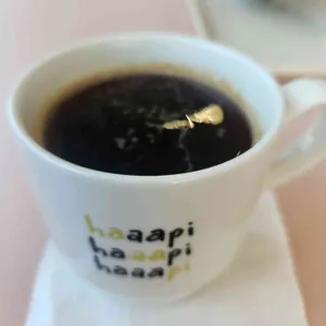 하피 사진