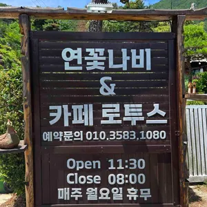 연꽃나비 리뷰 사진