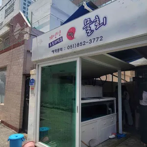 청솔물회 리뷰 사진