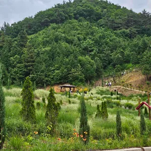 아람다람카페 리뷰 사진