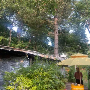 태봉산 한터오리골 리뷰 사진