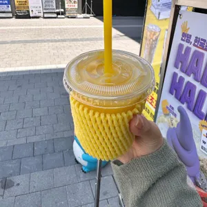 고망고 사진