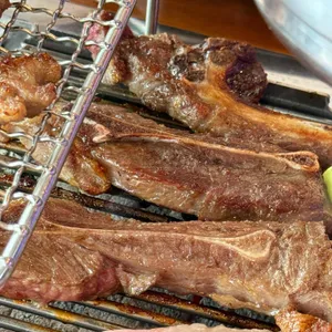 최고양 사진
