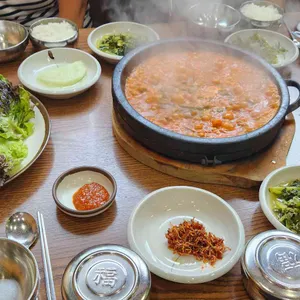 봄내 사진