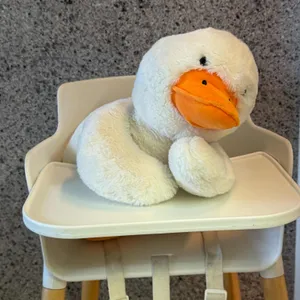 오브너스 사진
