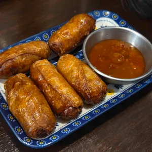 타마 사진
