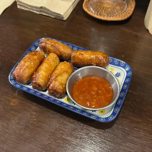 타마 사진