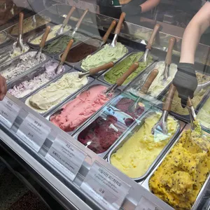 스쿠퍼 젤라또 사진