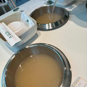 봄담아 사진