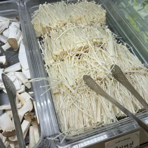 봄담아 사진