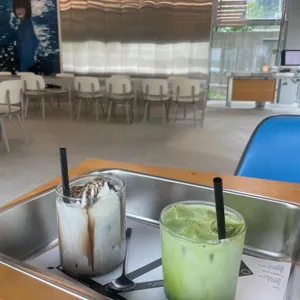 산노루 사진