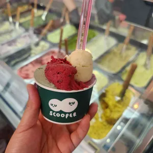 스쿠퍼 젤라또 사진