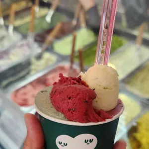 스쿠퍼 젤라또 사진