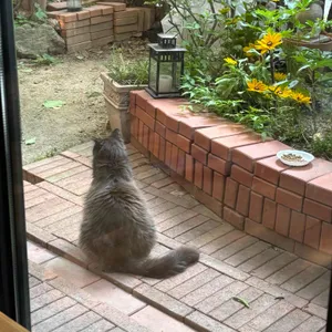 레디쉬브라운 리뷰 사진