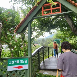 그린카페 리뷰 사진