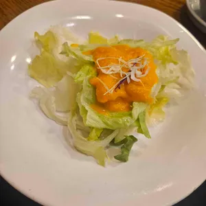 시래향 사진