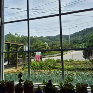 두근두근 콩콩 대표 사진