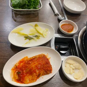 미스돼지 사진