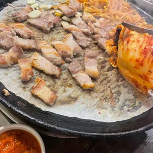 미스돼지 사진