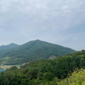 할리스 리뷰 사진