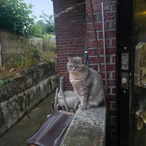 그림바위 리뷰 사진