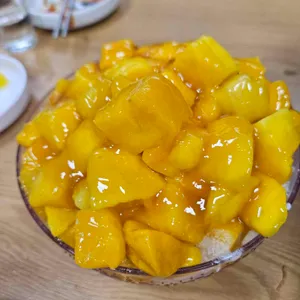 요고요고 사진