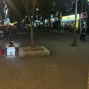 홍희통닭 리뷰 사진