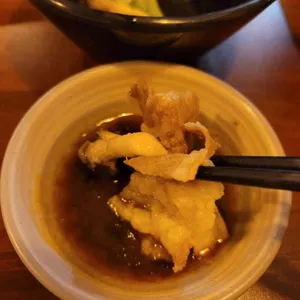 고꼬 사진