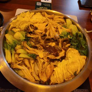 고꼬 사진