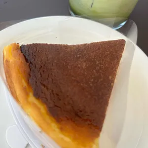 파인즈 사진