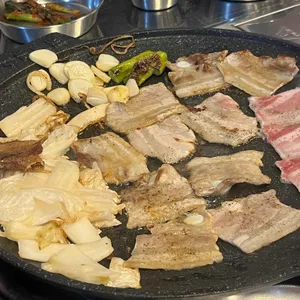 돼지벅스 사진