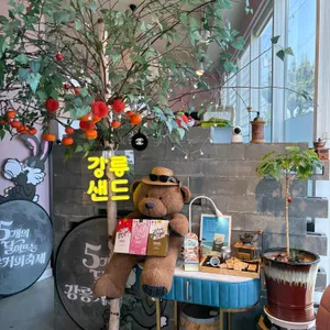 강릉샌드 사진