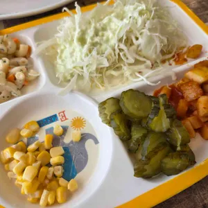 푸릴리 사진