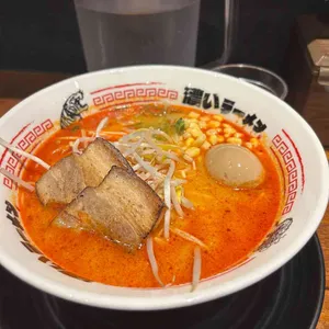 코이라멘 사진