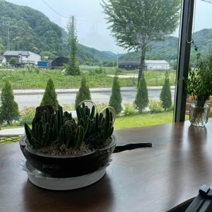 베이스캠프 리뷰 사진