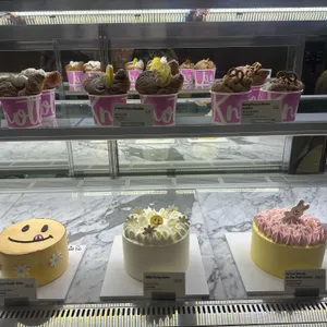 노티드월드 리뷰 사진