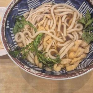 국수나무 사진