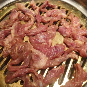 송도갈매기 사진